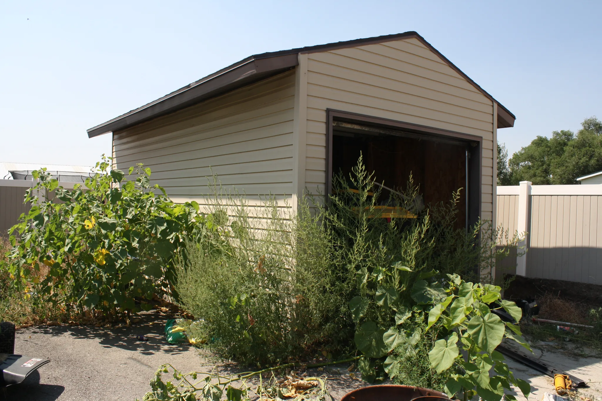 Detached auxiliary structure featuring beige horizontal siding, a brown shingled roof, and a single garage door opening