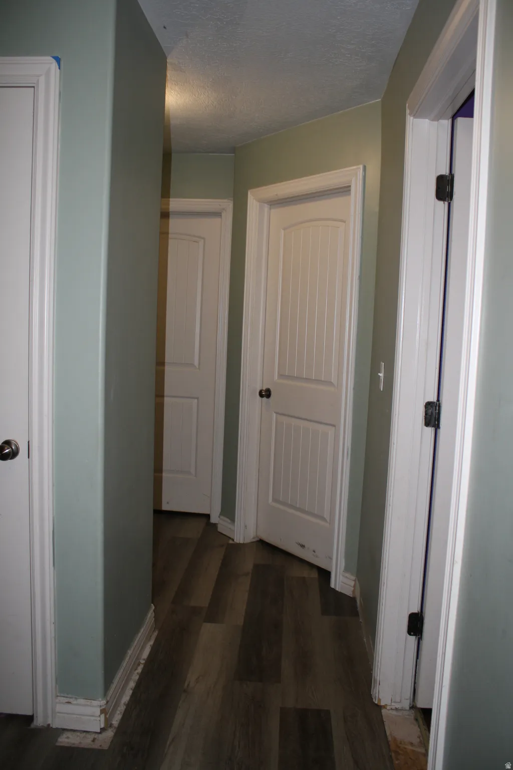 Hallway featuring light green wall paint and wood-finish flooring