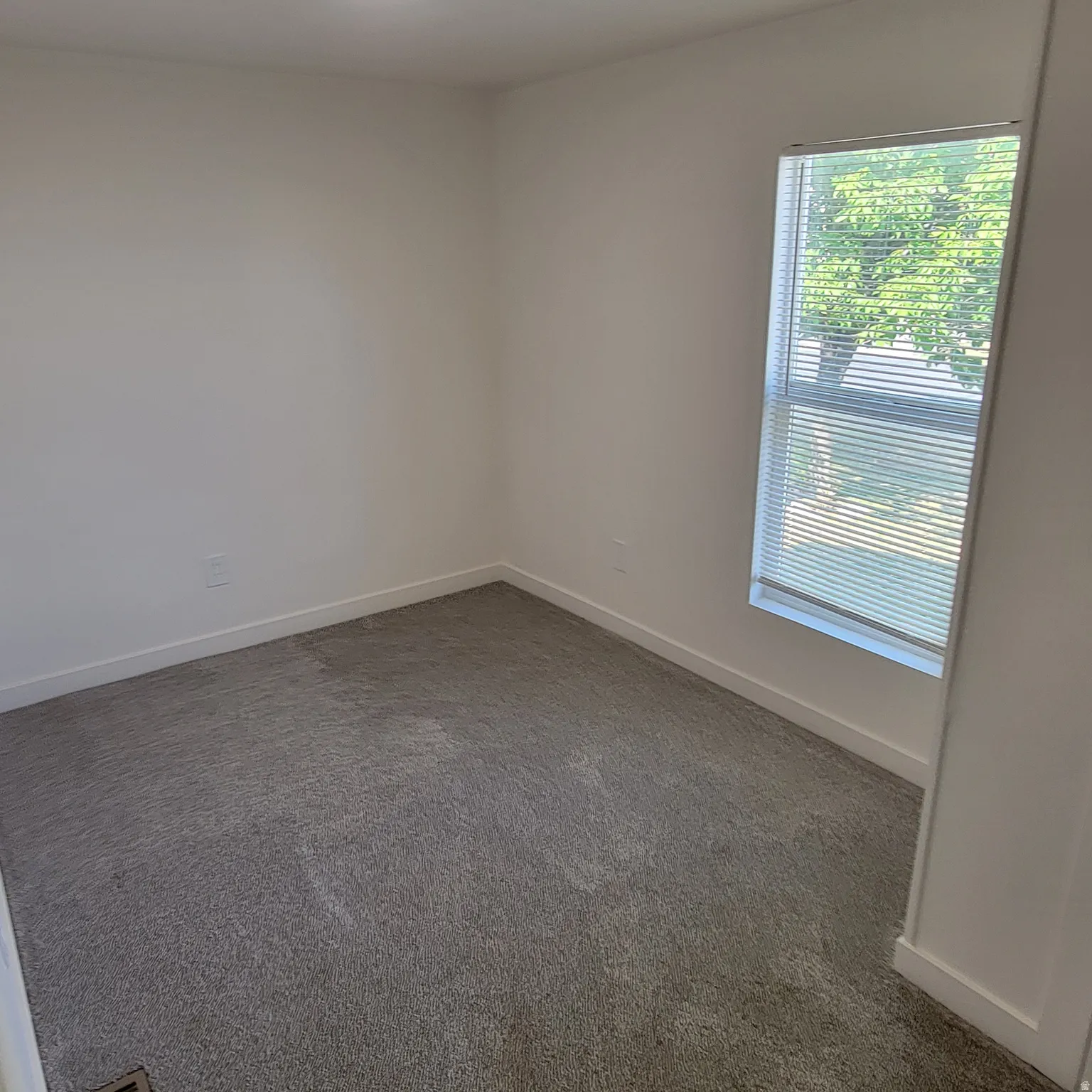 Bright room featuring light gray carpet flooring and white baseboards