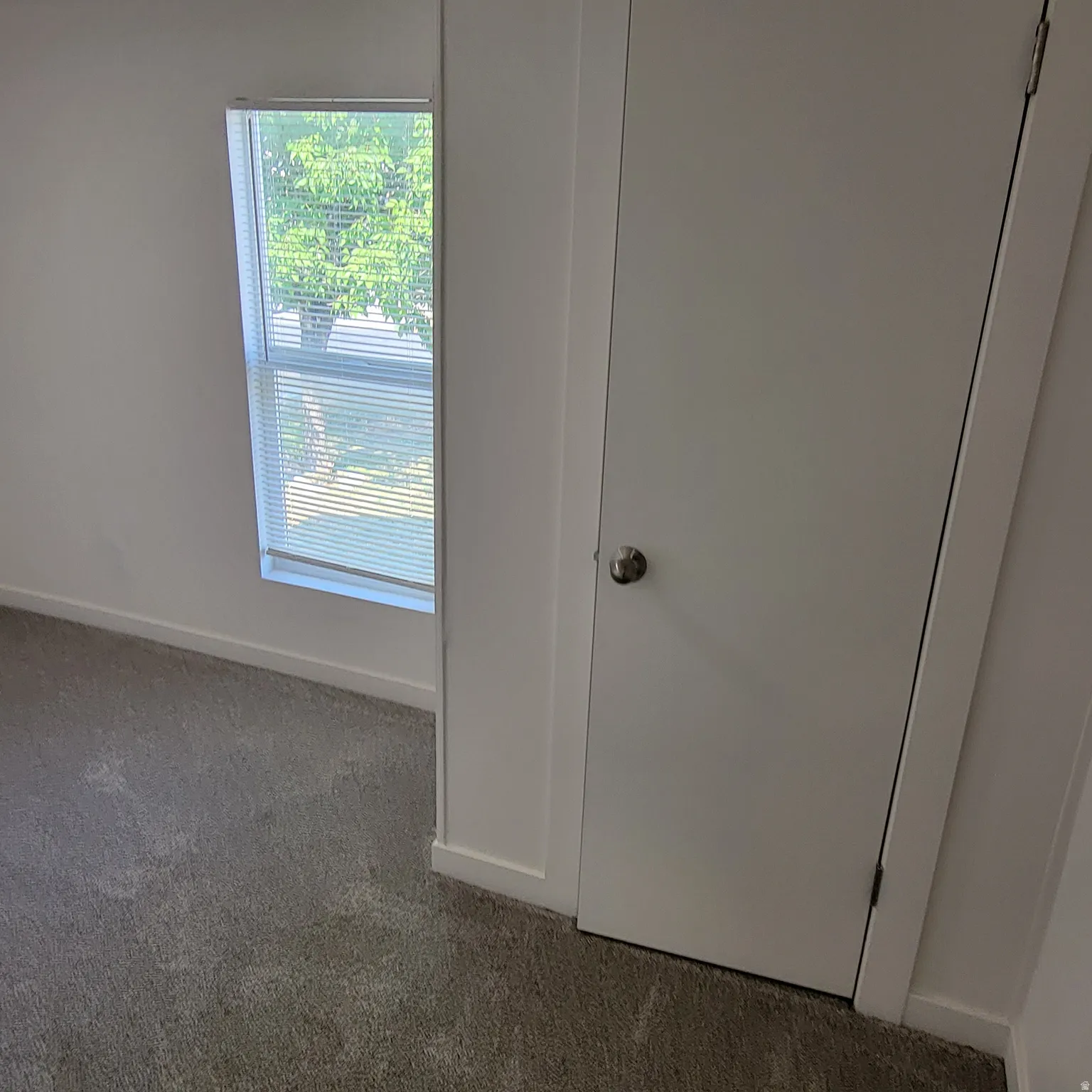 Neutral-toned wall paint and trim, complemented by plush gray carpeting