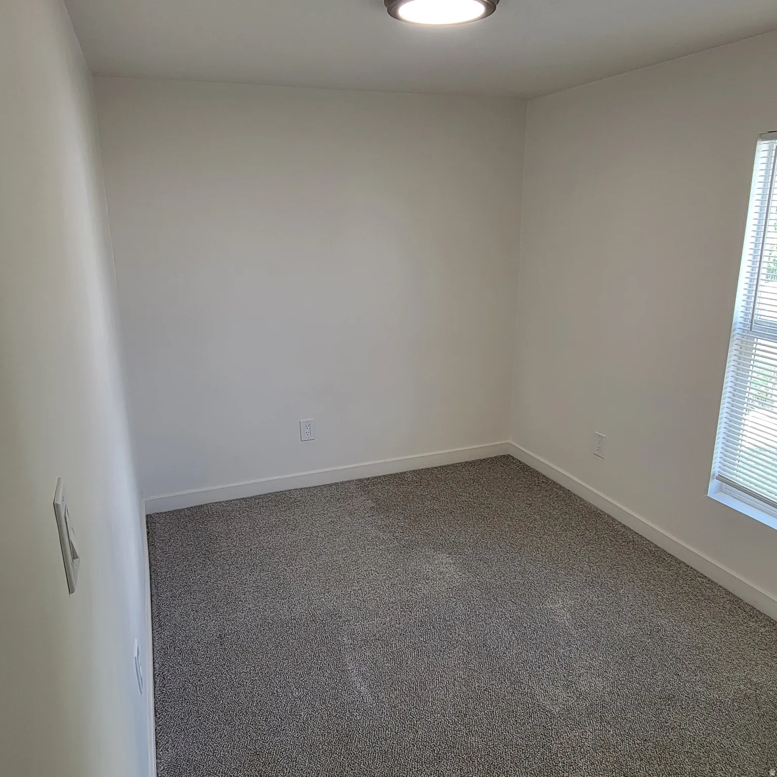 Neutral wall paint, gray carpeting, window with horizontal blinds, and a ceiling-mounted light fixture