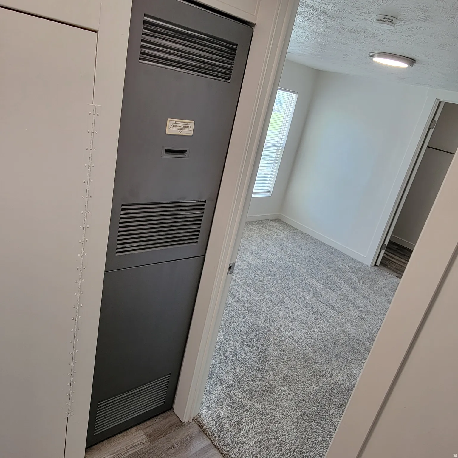 Interior utility closet with a dark gray louvered panel, light wood-finish flooring, and a bedroom beyond with light gray patterned carpeting, white walls, and a window with blinds
