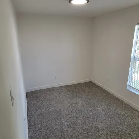 Neutral wall paint, gray carpeting, window with horizontal blinds, and a ceiling-mounted light fixture