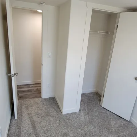 Plush gray carpeting throughout the room