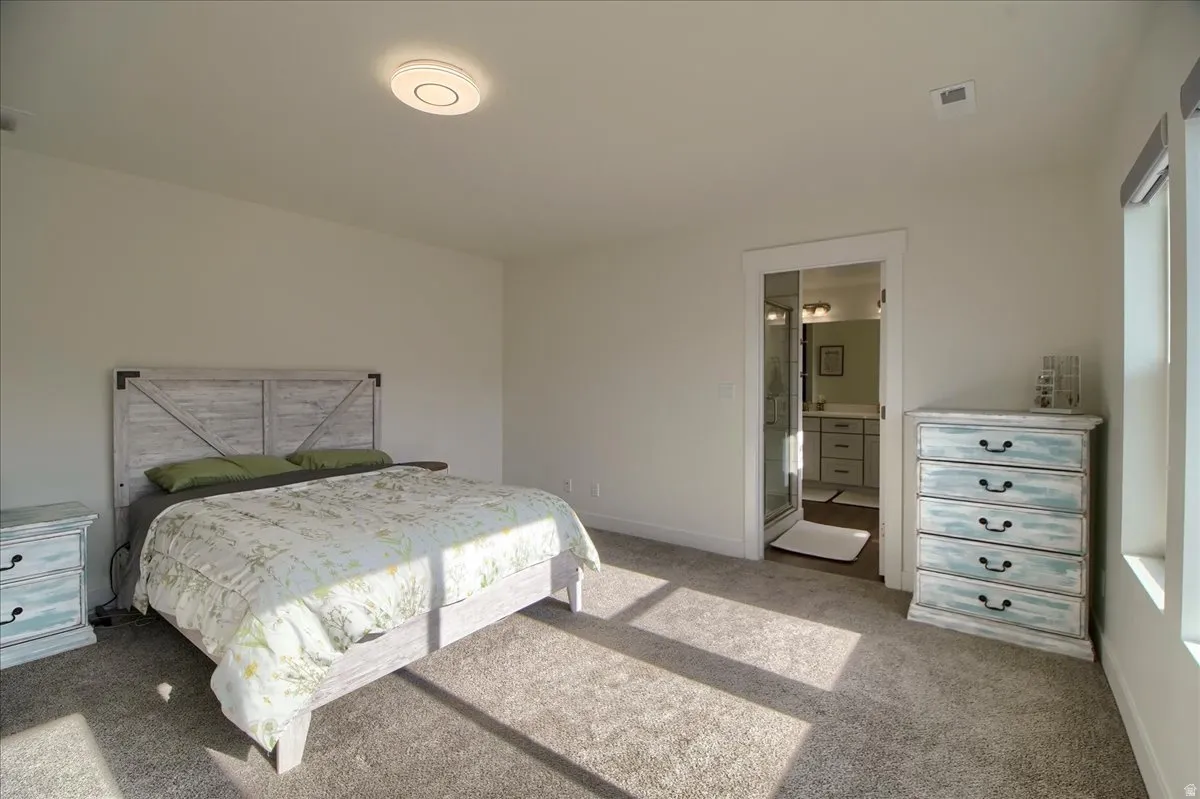 Plush carpeting throughout, white painted walls, and a ceiling-mounted light fixture