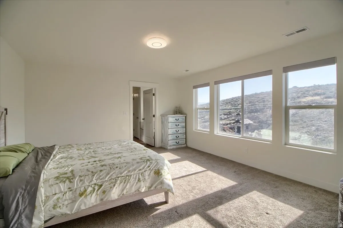 Spacious bedroom featuring multiple large windows, wall-to-wall carpeting, and a mountain landscape backdrop