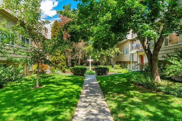 Serene courtyard showcasing a manicured lawn, mature trees providing natural shade, and established landscaping
