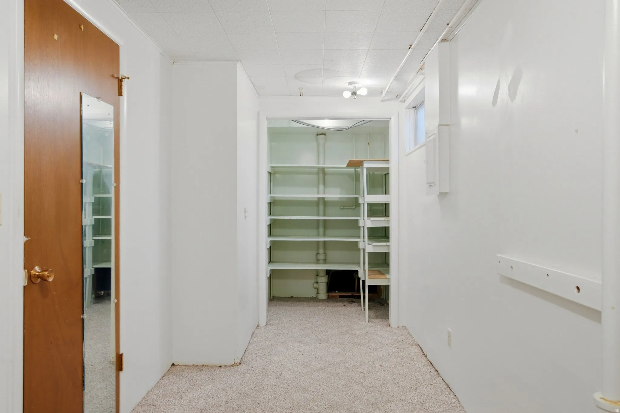 Utility room with built-in shelving, white painted walls, and light-colored carpet