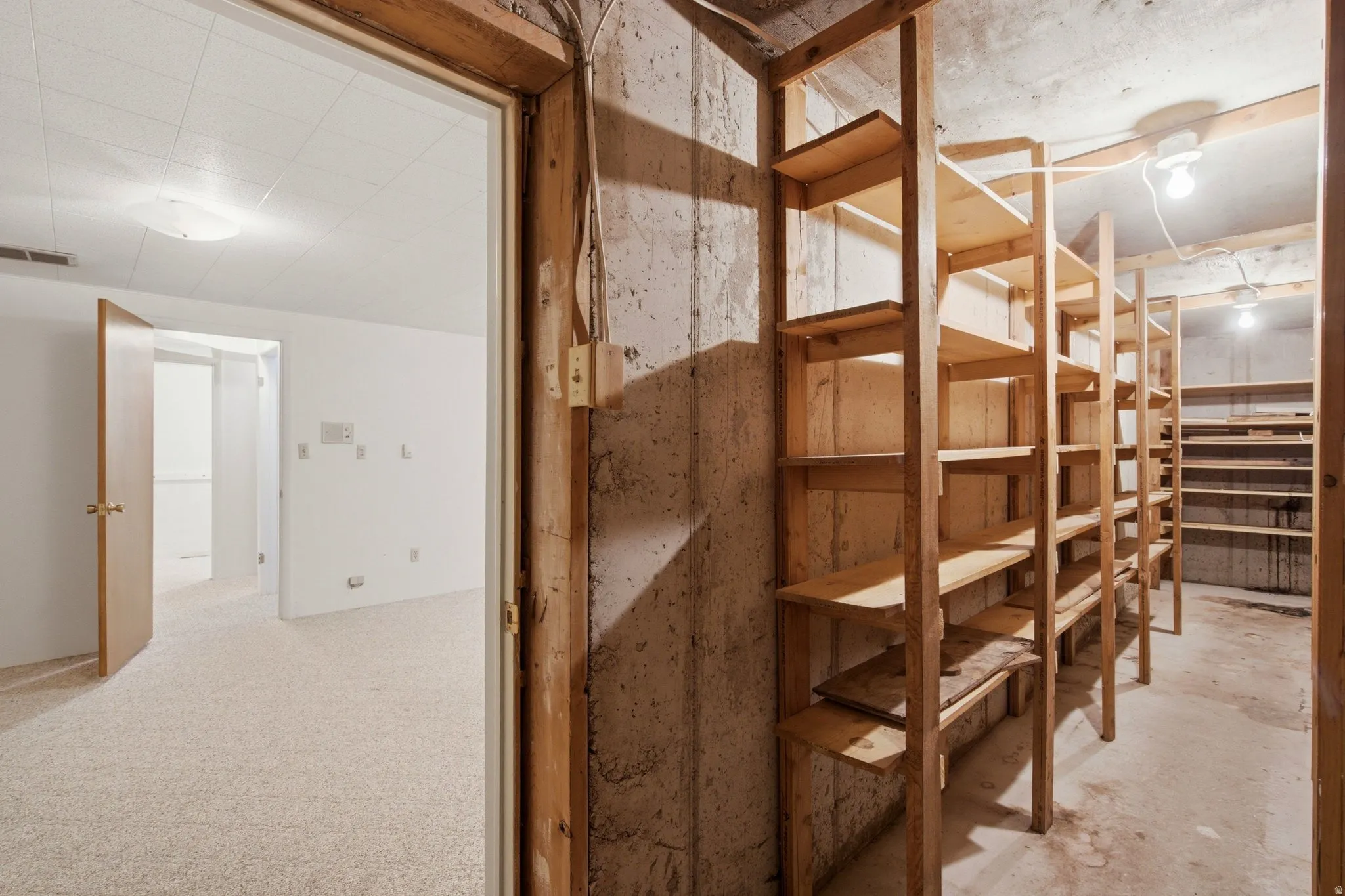 Basement area with extensive built-in wooden shelving, concrete walls, and overhead lighting