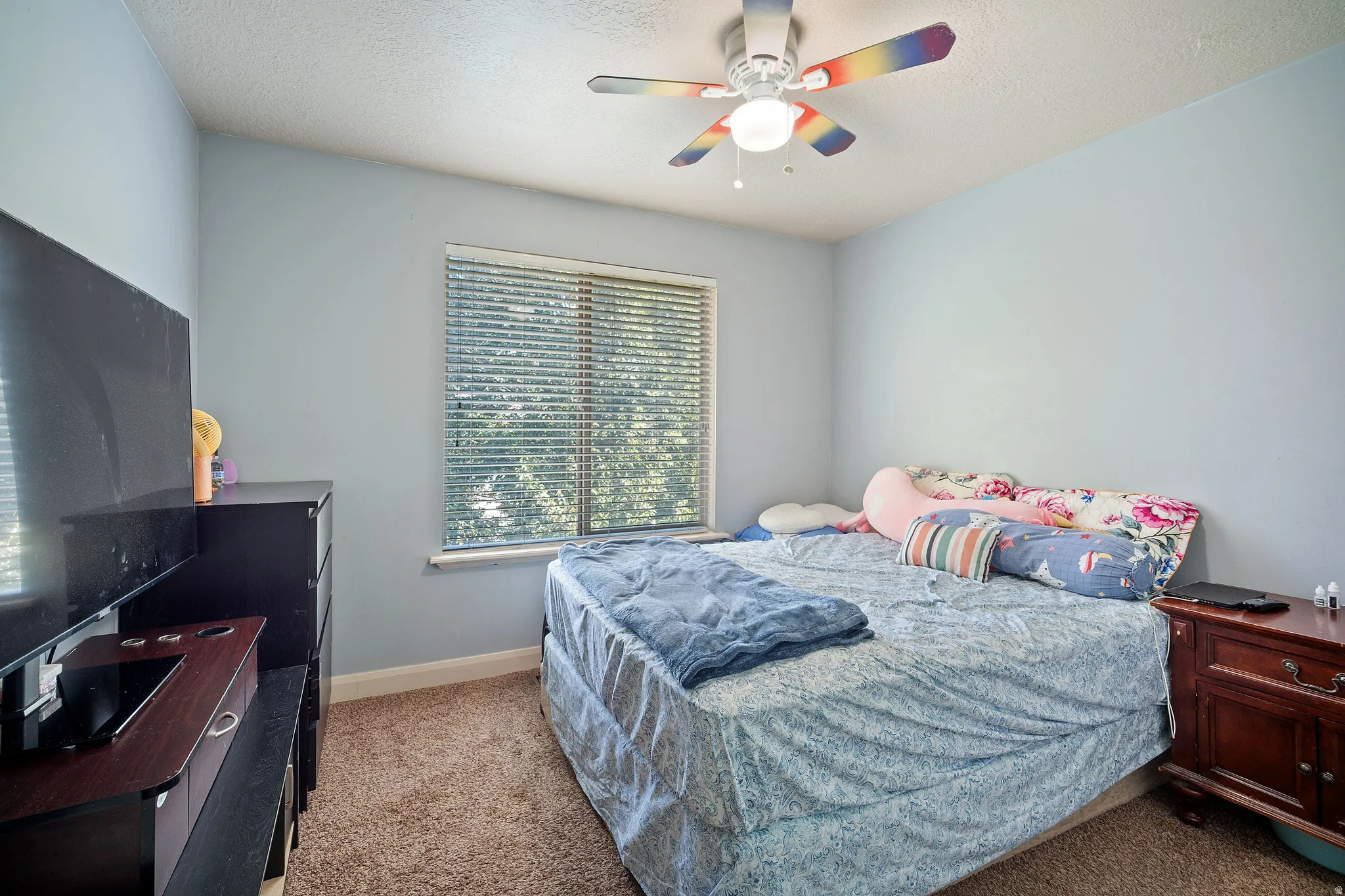 Carpeted room with a ceiling fan, window with blinds, and light blue walls