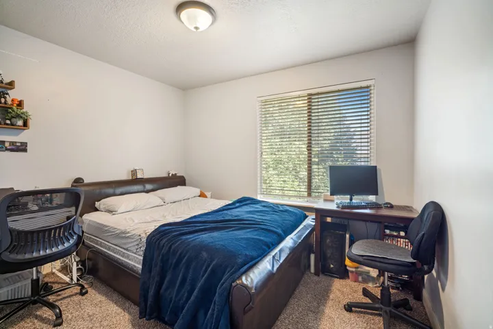 Carpeted room featuring a ceiling-mounted light fixture, a window with horizontal blinds, and a built-in wall shelf