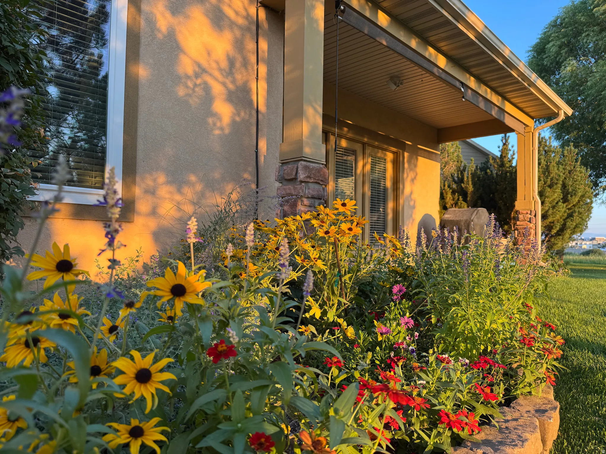 Charming residence featuring a vibrant, mature flower garden with golden sunflowers, red blooms, and lush perennial plantings