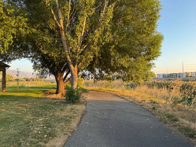 Mature shade tree anchors this scenic pathway with established lawn and open grounds