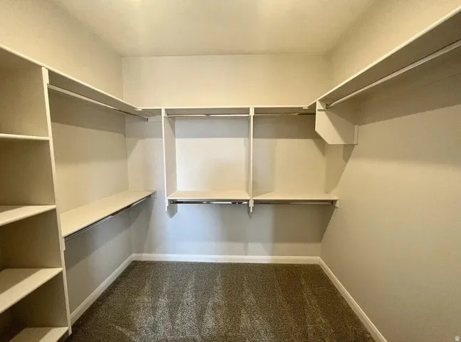 Expansive walk-in closet featuring extensive built-in shelving, multiple hanging rods, and plush carpet flooring