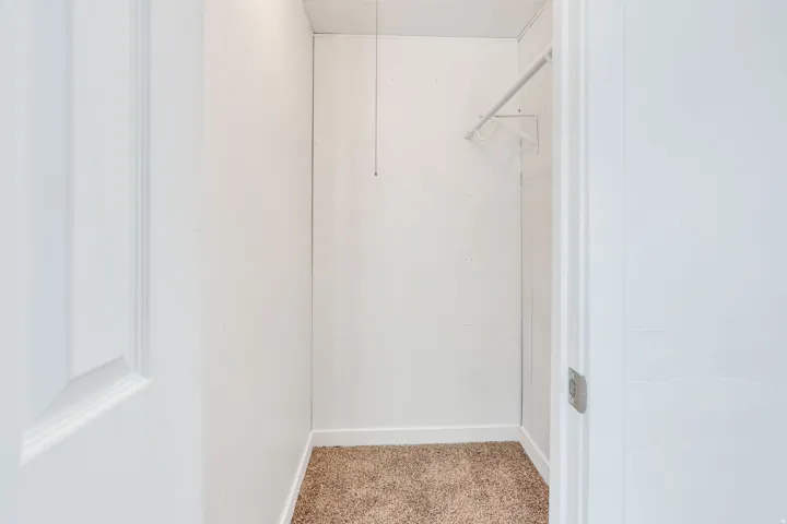 Recessed closet with a single hanging rod, light brown carpeting, and white painted walls