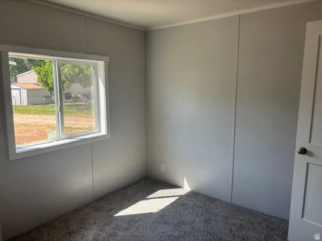Bright, light-filled bedroom featuring neutral wall finishes, carpeted flooring, and a large picture window with natural outdoor views