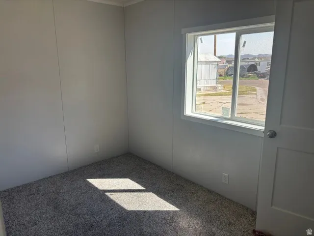 White-framed window providing natural illumination, light gray wall paneling, and gray textured carpeting