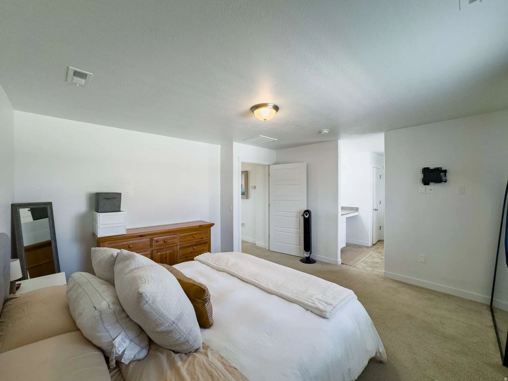 Carpeted bedroom with neutral wall tones and a built-in ceiling light fixture