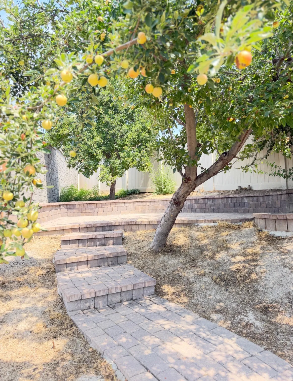 Tiered landscaping featuring paver steps and retaining walls