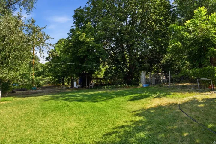 Expansive lawn area surrounded by mature trees and lush green foliage