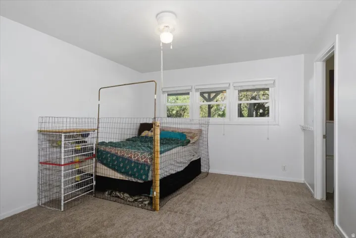 Room featuring light neutral wall paint, textured carpet flooring, and a ceiling fan with light fixture