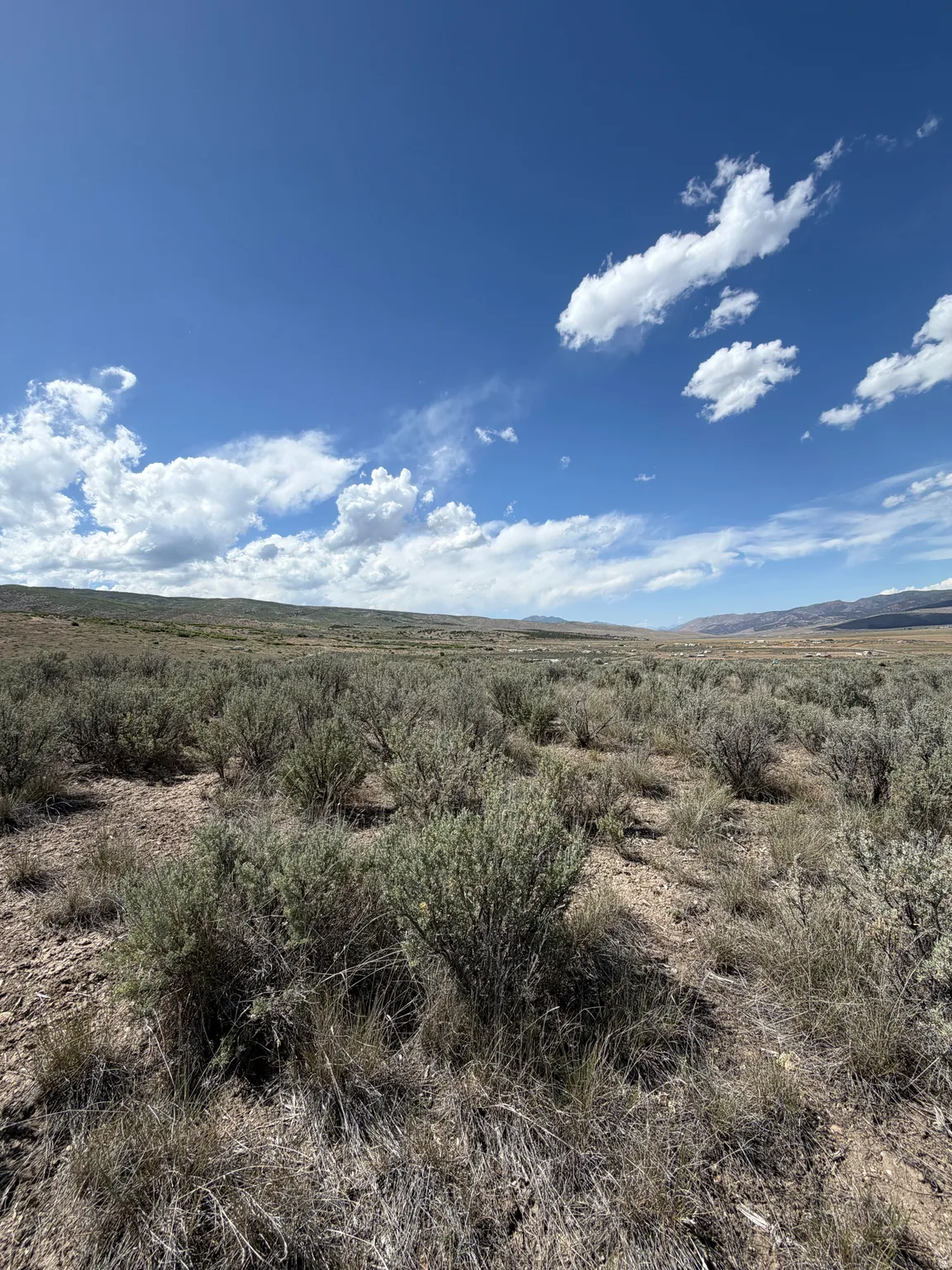 Expansive undeveloped land featuring sparse vegetation, a natural ground cover, and distant mountains under a broad blue sky with scattered clouds