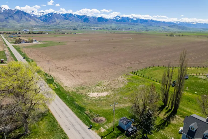 Sprawling agricultural property with expansive cleared acreage and mature cypress trees lining the perimeter