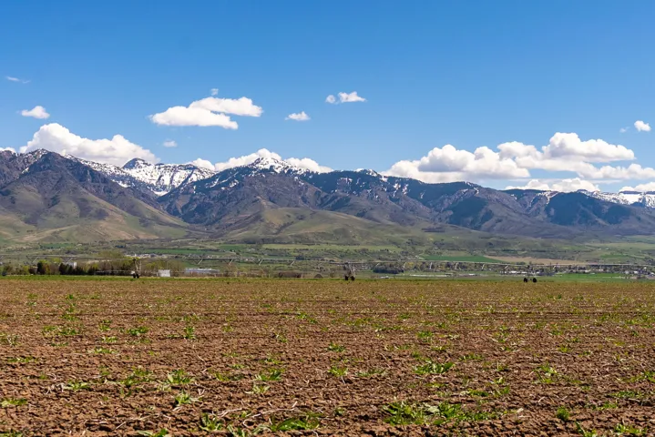 Expansive agricultural acreage featuring fertile, cultivated fields with mountain backdrop