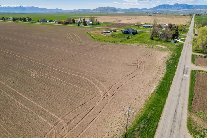 Expansive agricultural property featuring productive cultivated acreage with established access road, mature tree lines, and distant mountain backdrop