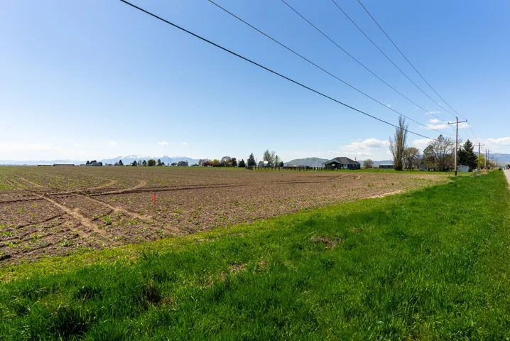 Expansive agricultural land featuring a clear sky overhead and distant mountains