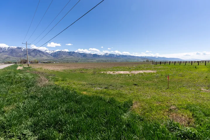 Expansive open land with green growth and distant snow-capped mountains