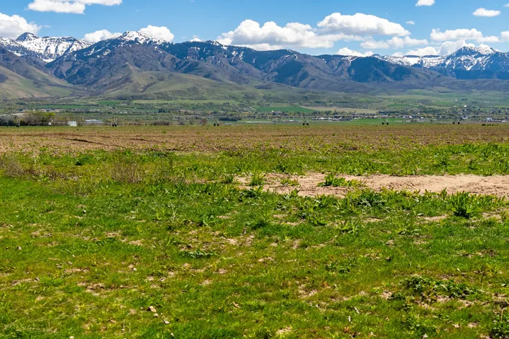 Expansive undeveloped land featuring a combination of green grass and tilled earth