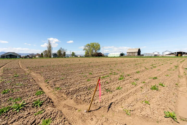 Expansive tilled agricultural land under a clear sky