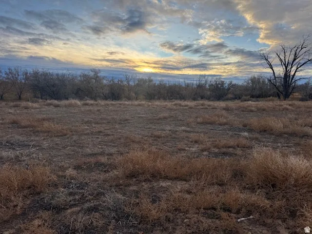 Expansive open land featuring sparse, natural vegetation