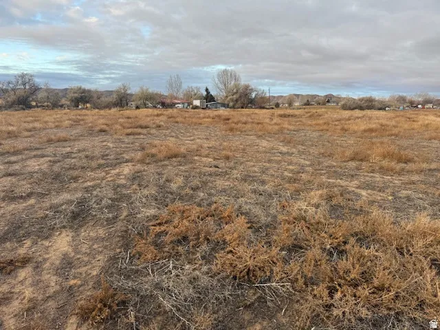 Expansive land parcel featuring existing dry vegetation and a distant tree line