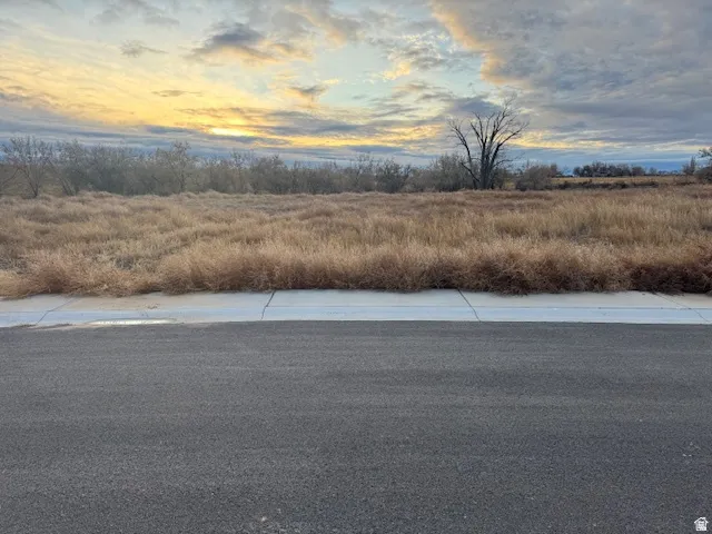 Expansive grounds featuring mature landscaping, open prairie grassland, and a paved driveway approach