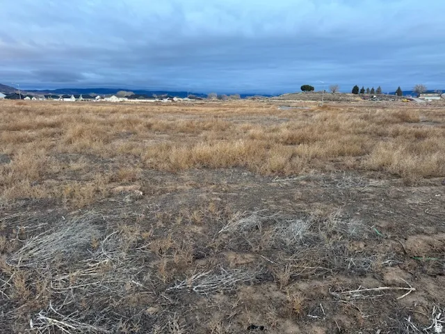 Expansive lot featuring natural, arid vegetation