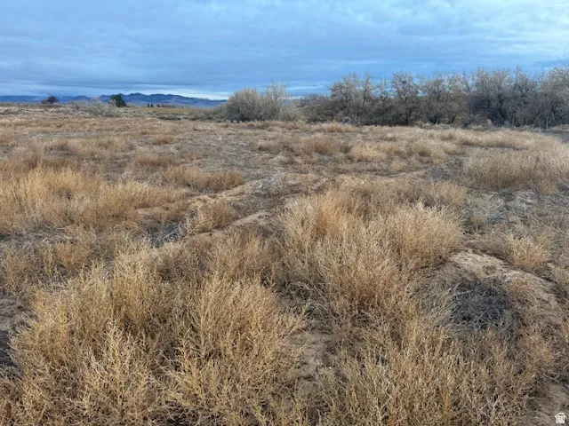 Expansive undeveloped land featuring natural vegetation and distant mountain ranges