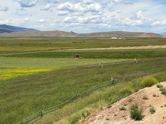 Expansive agricultural landscape featuring green fields and distant mountains