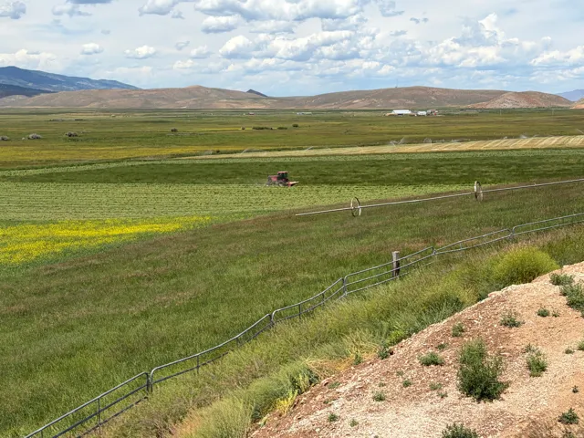 Expansive agricultural landscape featuring green fields, distant mountains, and visible irrigation systems