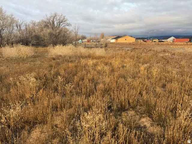 Expansive land parcel featuring natural, dry vegetation