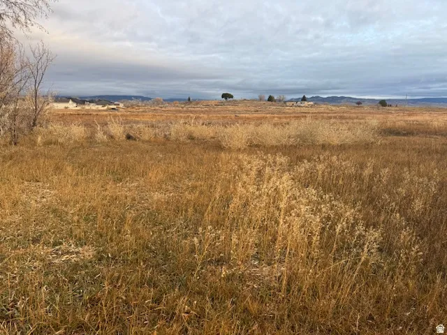 Expansive acreage featuring open grassland with mature tree specimens scattered throughout