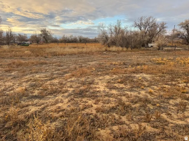 Expansive acreage with native grassland and scattered mature trees