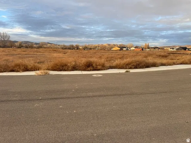 Paved street fronting a flat, expansive parcel with natural vegetation