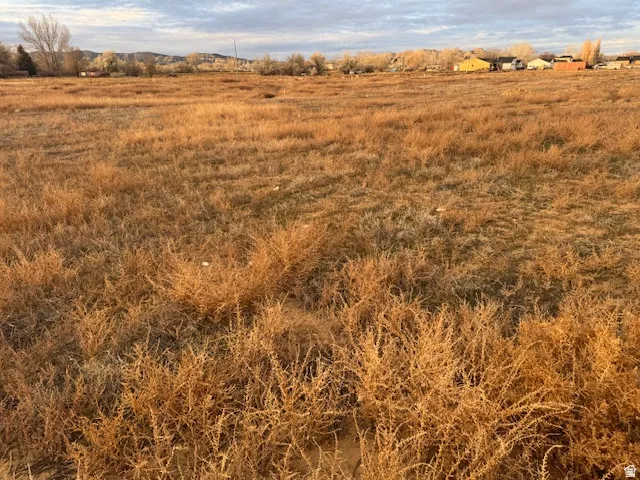 Expansive acreage featuring open grassland with native prairie vegetation and scattered brush