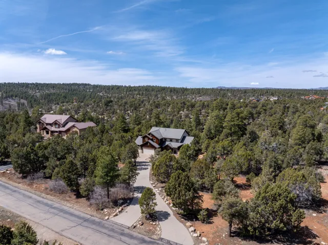 Expansive forested setting featuring two substantial residential structures nestled among mature evergreen trees