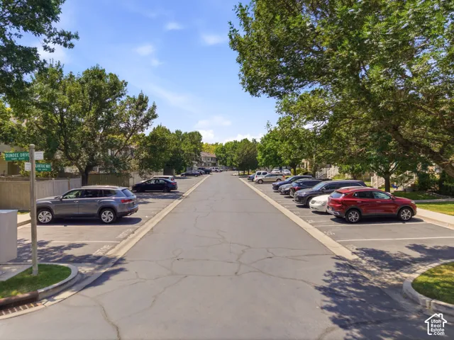 Streetscape featuring asphalt paving, designated parking spaces, mature trees, and a clear sky