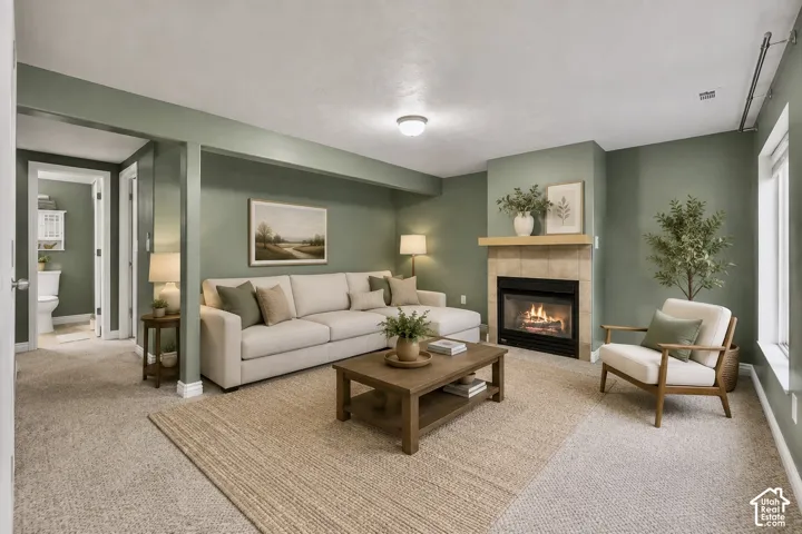 Basement Living Room