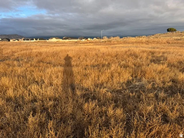 Expansive undeveloped land featuring natural, golden-hued ground cover