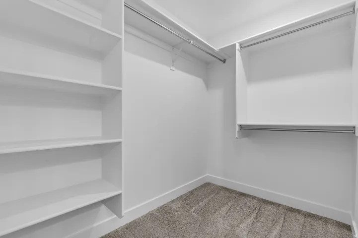 Walk-in closet featuring white built-in shelving, white walls, and gray carpet flooring